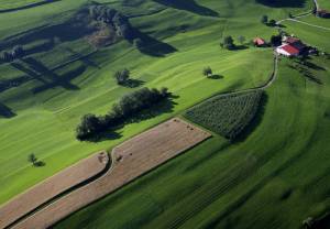 Krajobraz rolniczy w pobliżu wioski Le Planet, gmina Le Châtelard, kanton Fribourg