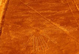 Czapla, jeden z kształtów na Pustyni Nazca